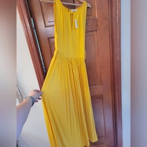 Banana Republic summer maxi dress